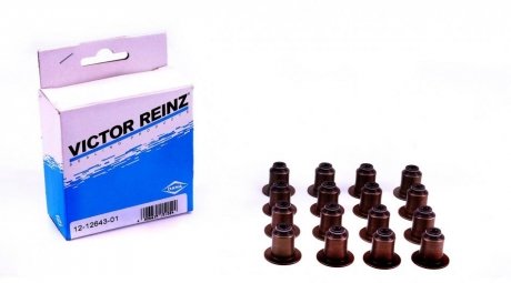 Комплект прокладок, стержень клапана REINZ VICTOR REINZ 12-12643-01